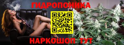 спайс Аргун