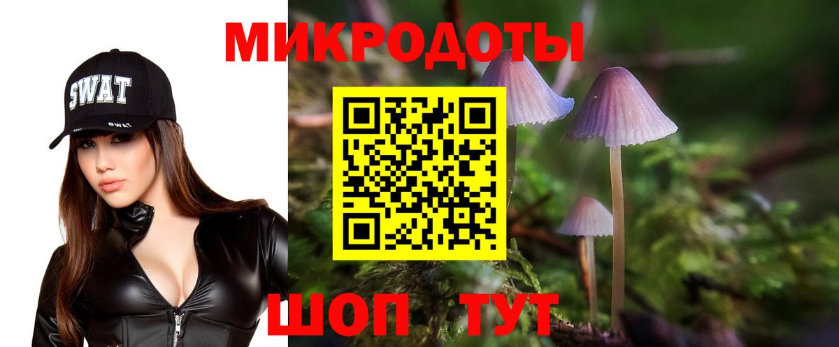 Псилоцибиновые грибы Cubensis  Ялуторовск 